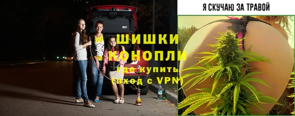крисы Нея
