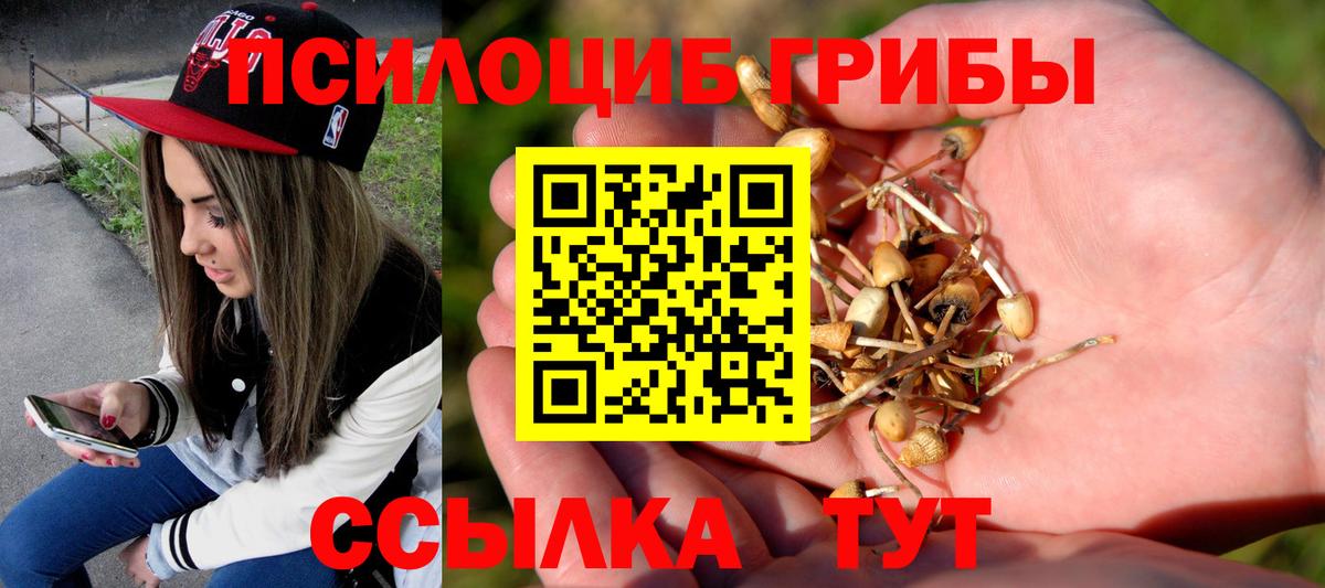 Галлюциногенные грибы GOLDEN TEACHER  дарнет шоп  Борзя  Вход с VPN 