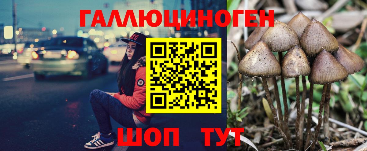 Галлюциногенные грибы мухоморы  Борзя  Галлюциногенные грибы Magic Shrooms 